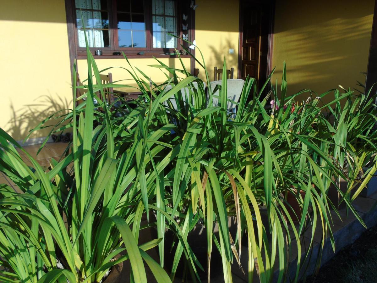 Villa Casa De Walle *